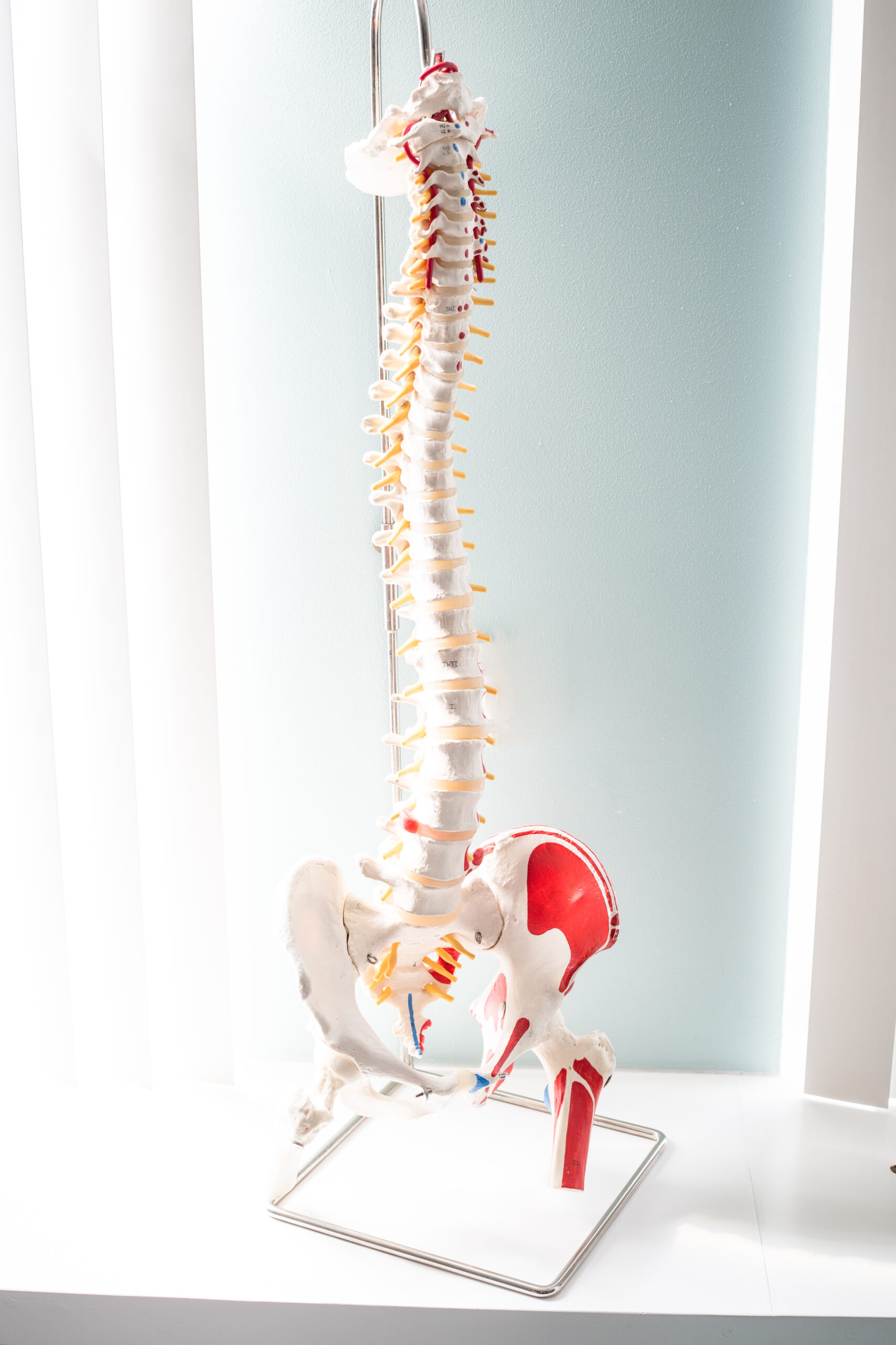 Wervelkolom oefentherapie